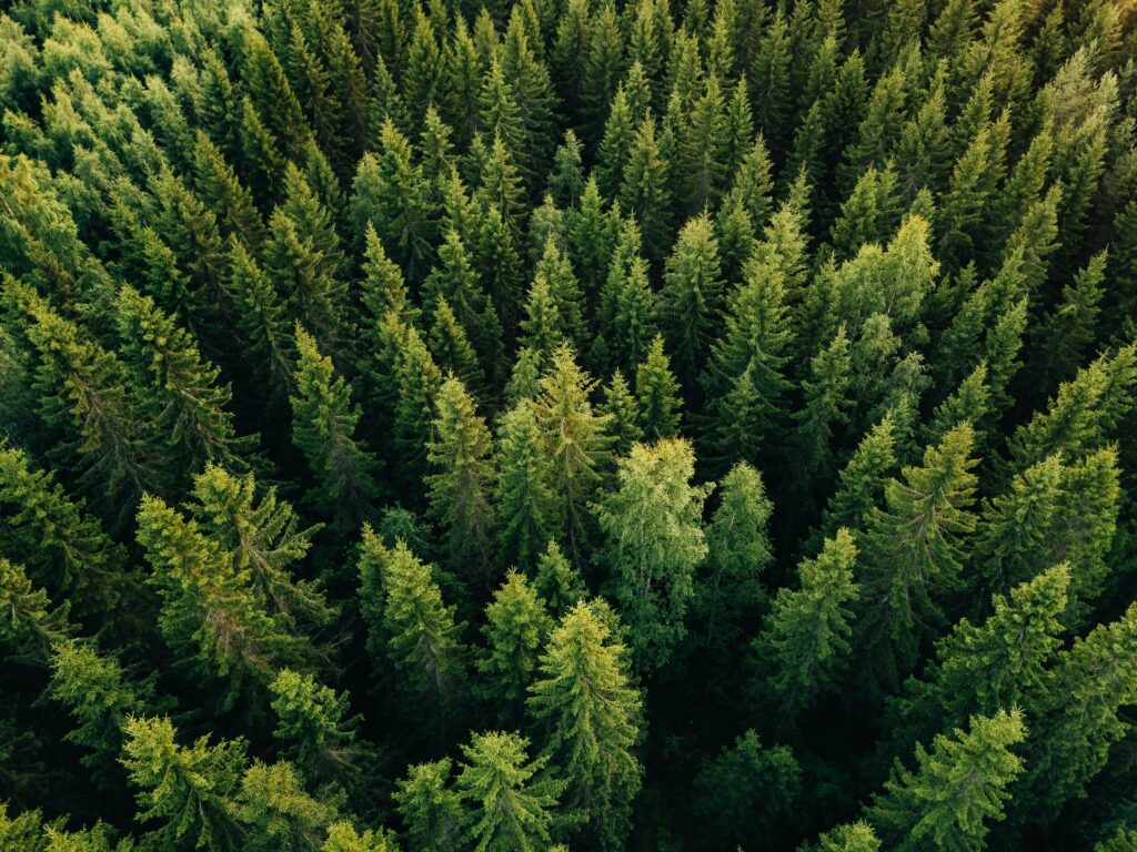 header-background